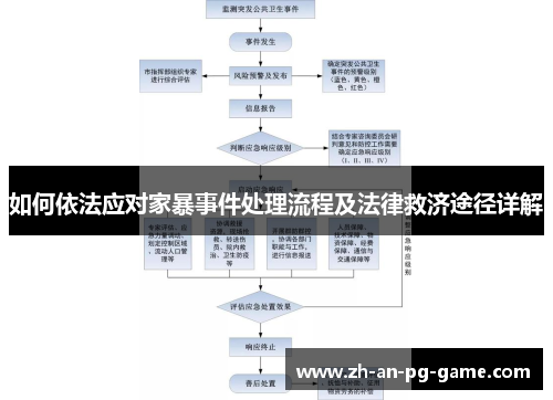 如何依法应对家暴事件处理流程及法律救济途径详解