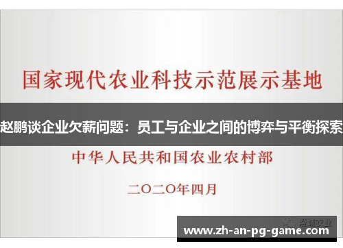 赵鹏谈企业欠薪问题:员工与企业之间的博弈与平衡探索 赵鹏谈企业欠薪问题:员工与企业之间的博弈与平衡探索